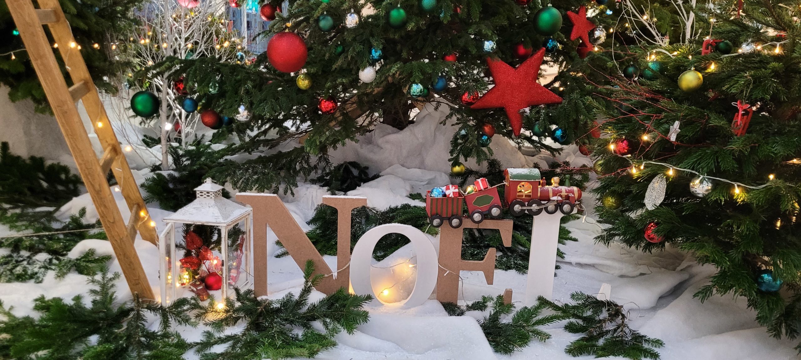 Décorations de Noël pour les professionnels un décor à votre image